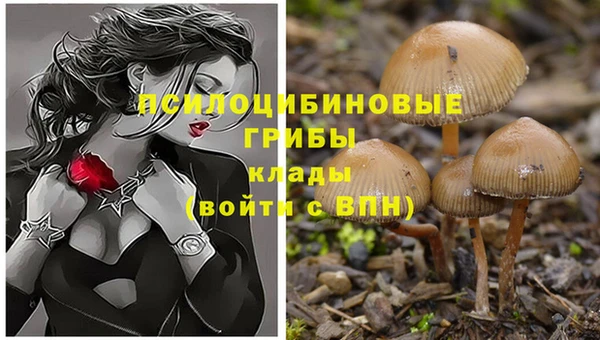 ешки Володарск