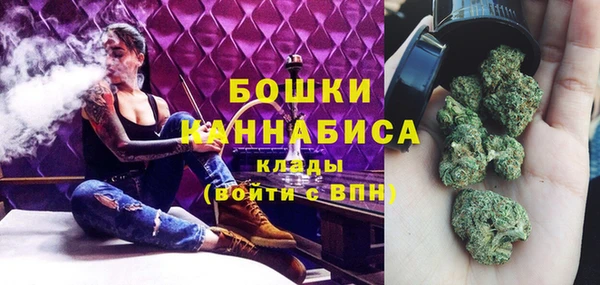 мдпв Волосово