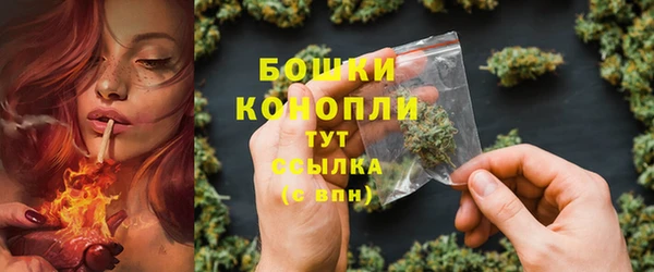 мдпв Волосово