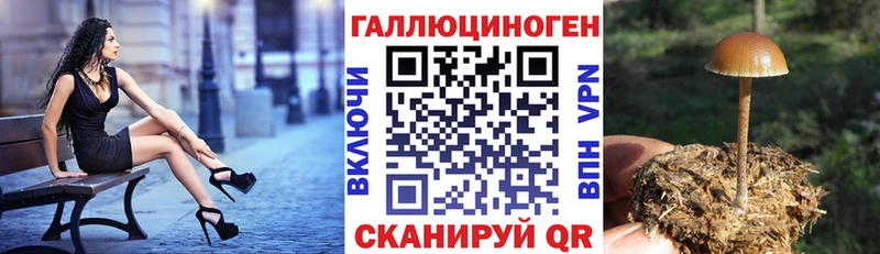 Купить  Бутурлиновка  Псилоцибиновые грибы мицелий 